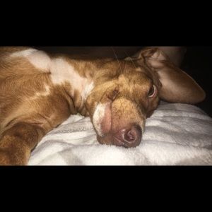 Meet your Posher, Nolan